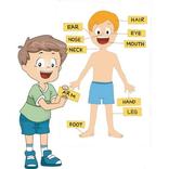 Body Parts Name for Kids - Offline