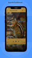 Chipmunk Sounds imagem de tela 1
