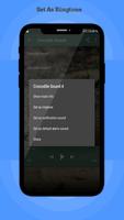 Crocodile Sounds screenshot 2