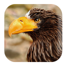 Eagle Sounds APK