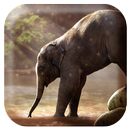 Elephant Sounds APK