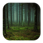 Forest Sounds アイコン