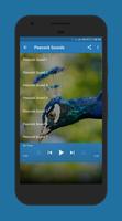 Peacock Sounds Screenshot 1