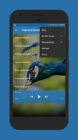 Peacock Sounds Screenshot 3