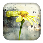 Rain Sounds icon