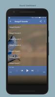 Seagull Sounds स्क्रीनशॉट 1