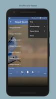 Seagull Sounds स्क्रीनशॉट 3