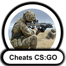 Cheats - CS:GO APK