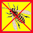 Anti Pest icône