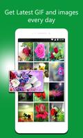 Flowers Gif Collection Affiche