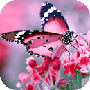 Butterfly HD Wallpapers APK