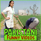Pakistani Funny Videos icône