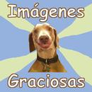Imagenes Graciosas APK