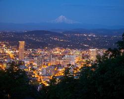 Oregon quebra-cabeças imagem de tela 3