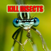 Kill Insects, Clean your home icon