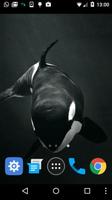 killer whale wallpaper screenshot 1