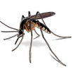 Mosquito Button APK