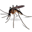 Mosquito Button APK