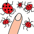 Bugs