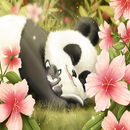 Panda Wallpaper APK