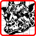 Nonogram 4 (Picross Logic) icon