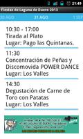 Fiestas Laguna de Duero 2013 poster