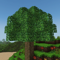 World of Craft: Build