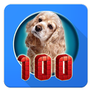 100 Animal sounds & pictures APK