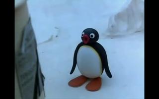 Pingu Videos für Kinder screenshot 2