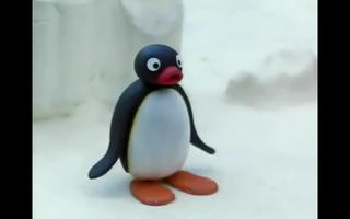 Pingu Videos for Kids screenshot 3