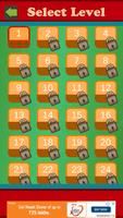 Ball Unlock Puzzle پوسٹر