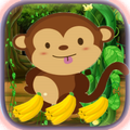 Hunger Monkey