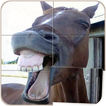 Funny Horses Puzzle