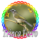 King Trinca Ferro Mp3 아이콘