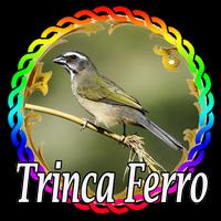 King Trinca Ferro Mp3 Plakat