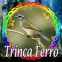 King Trinca Ferro Mp3 Screenshot 1