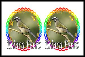 2 Schermata King Trinca Ferro Mp3