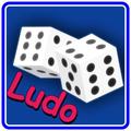 Domino Star New