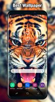 Tiger Wallpaper & Background Full HD Affiche