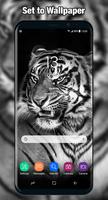 Tiger Wallpaper & Background Full HD capture d'écran 3