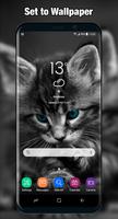 Cat Wallpaper & Background Full HD syot layar 3