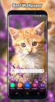 Cat Wallpaper & Background Full HD Affiche