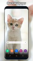 Cat Wallpaper & Background Full HD syot layar 1