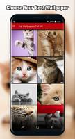 Cat Wallpaper & Background Full HD captura de pantalla 2