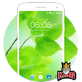 Green Wallpapers & Background Full HD