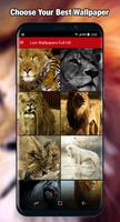 Lion Wallpaper & Background Full HD اسکرین شاٹ 2