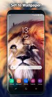 Lion Wallpaper & Background Full HD تصوير الشاشة 3