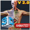Human Anatomy 3D APK