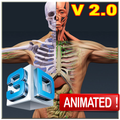 Human Anatomy 3D