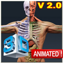 Human Anatomy 3D APK